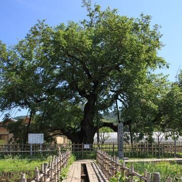 Tomioka Silk Mill and Related Sites image 31