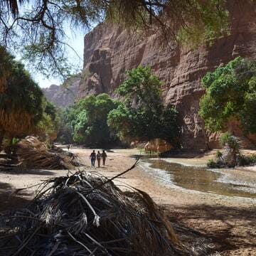 Ennedi Massif: Natural and Cultural Landscape image 40