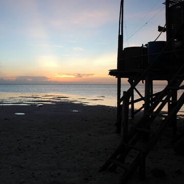 Tubbataha Reefs Natural Park image 16