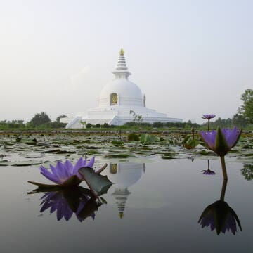 Lumbini, the Birthplace of the Lord Buddha image 11