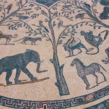 Archaeological Site of Volubilis image 23