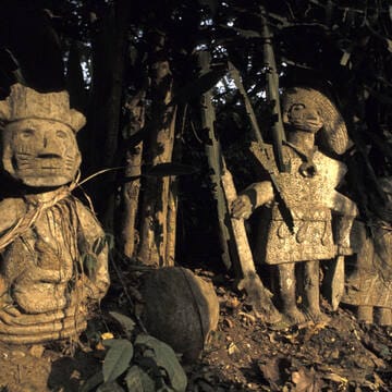Osun-Osogbo Sacred Grove image 9