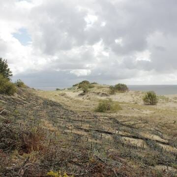 Curonian Spit image 7