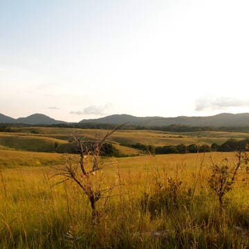 Ecosystem and Relict Cultural Landscape of Lopé-Okanda image 6