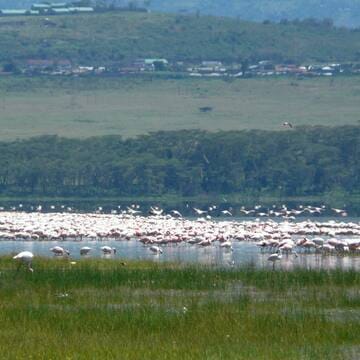 Kenya Lake System in the Great Rift Valley image 12