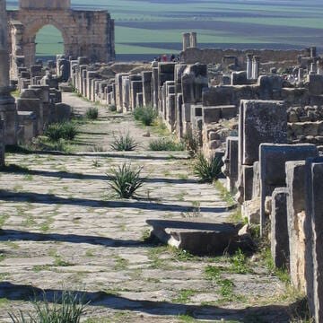 Archaeological Site of Volubilis image 3