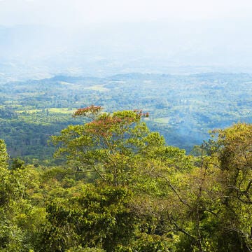 Talamanca Range-La Amistad Reserves / La Amistad National Park image 15
